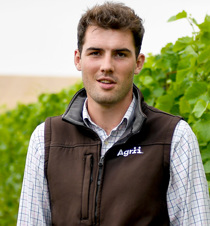 Agrii Vineyard Specialist 